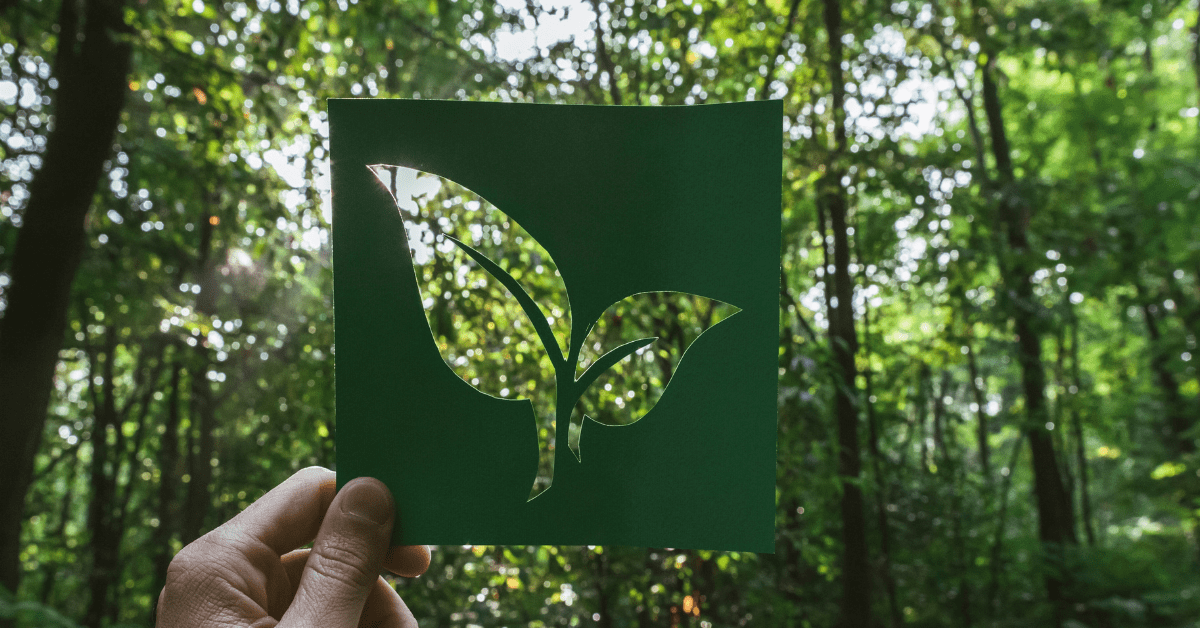 sustainable printer brands