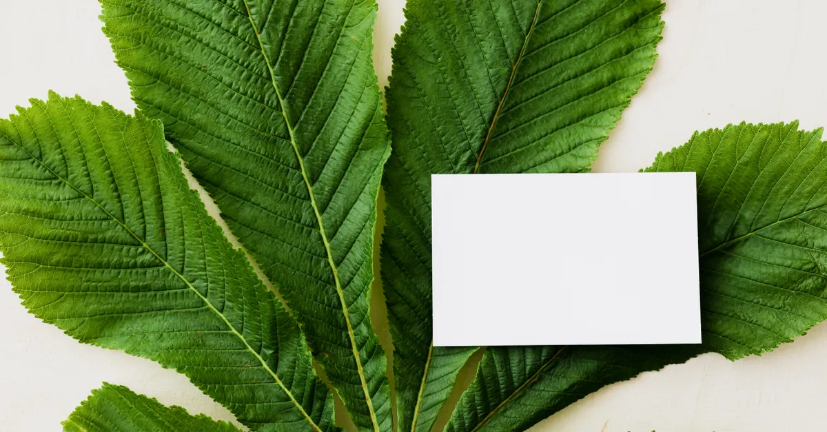 Choosing Materials for Eco-Friendly Business Cards &mdash; eco-friendly business cards